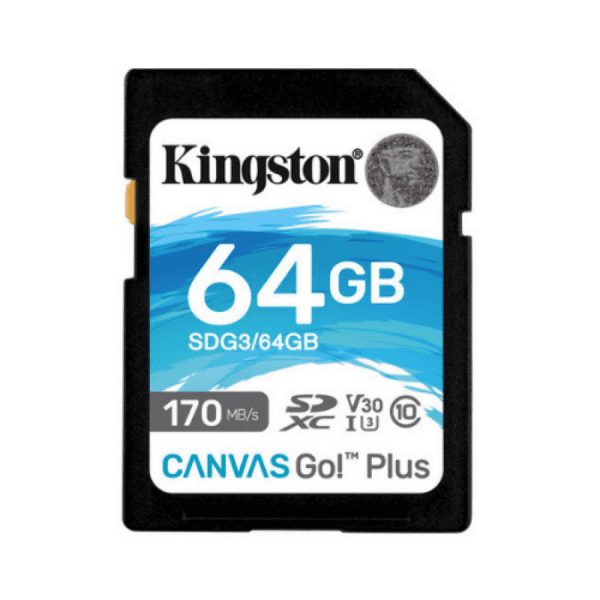 Kingston 64GB SD Card 