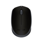 Logitech Wireless Mouse M171 (BlackGrey)