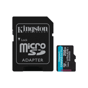 Kingston CANVAS Go Plus 256GB MicroSD Card
