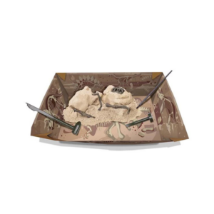 4M Dig a Dinosaur T-Rex