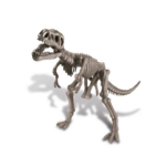 4M Dig a Dinosaur T-Rex-2