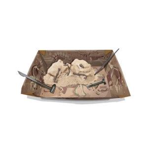 4M Dig a Dinosaur - Velociraptor