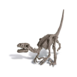 4M Dig a Dinosaur - Velociraptor-2