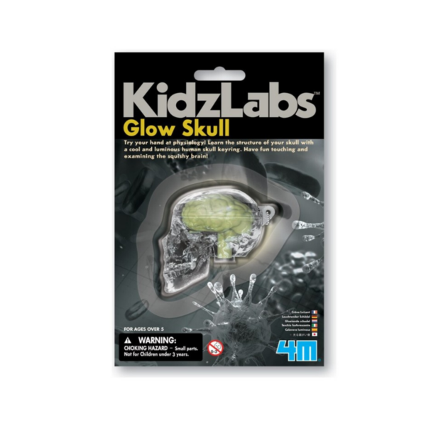 4M KidzLabs Glow Skull