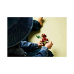 Lego Jurassic World Baby Dinosaur Dolores Aquilops 76970-2