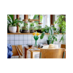 LEGO Daffodils 40747-1