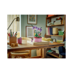 LEGO Disney Isabela's Flowerpot 43237-3