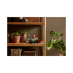 LEGO The Botanical Collection Succulents 10309-2