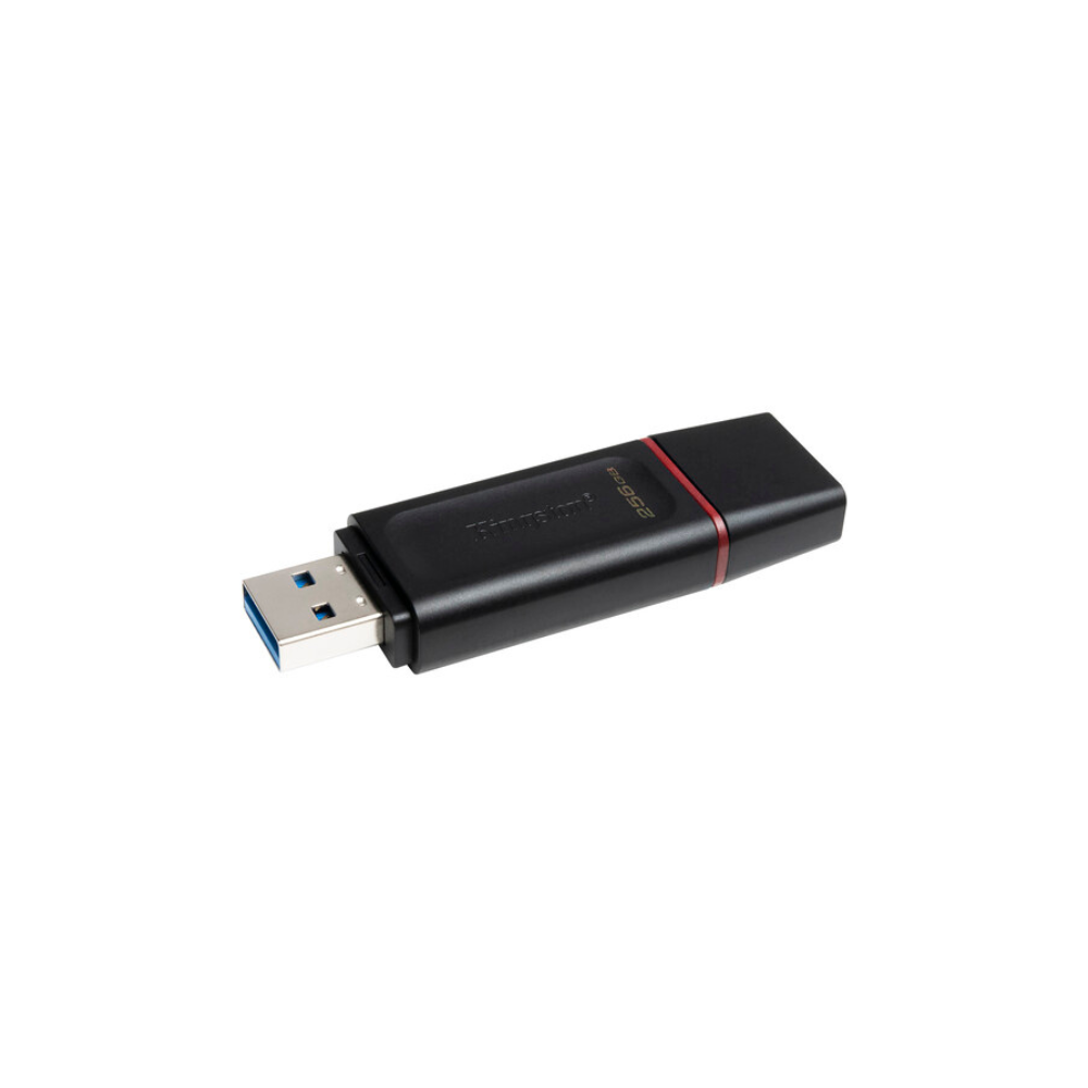 Kingston 256GB DataTraveler Exodia Flash Drive