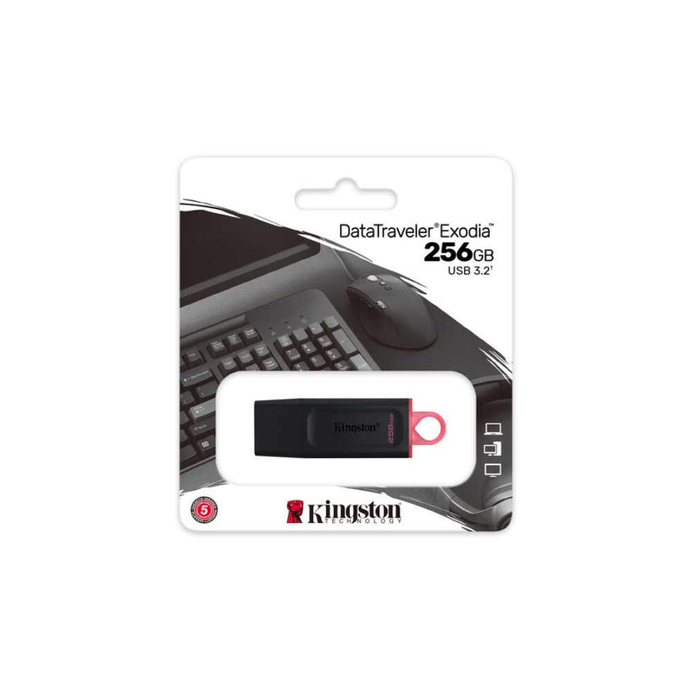 Kingston 256GB DataTraveler Exodia Flash Drive