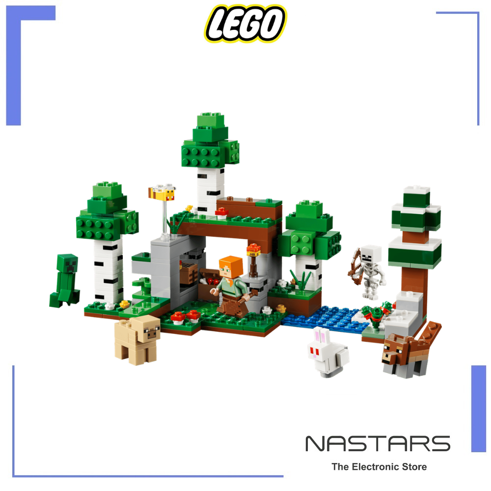 LEGO Minecraft First Night Adventure 21593